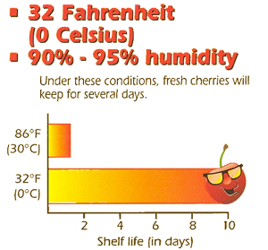 32 Fahrenheit (0 Celsius) 90% - 95% humidity under these conditions, fresh cherries will keep for several days. 86℉ (30℃) 32℉ (0℃) Shelf life (in days) 32 Fahrenheit (0 Celsius) 90% - 95% humidity under these conditions, fresh cherries will keep for several days. 86℉ (30℃) 32℉ (0℃) Shelf life (in days)